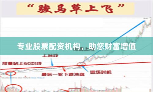 专业股票配资机构，助您财富增值