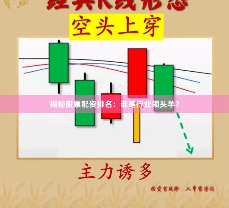 揭秘股票配资排名：谁是行业领头羊？